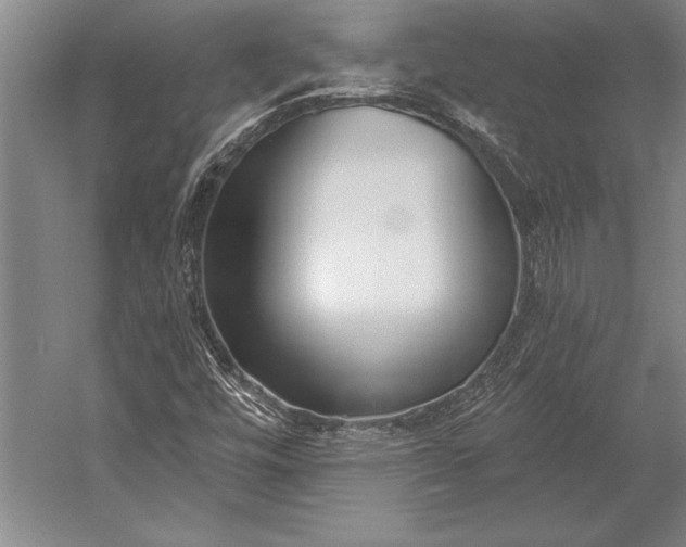 X0000053001448200507221234