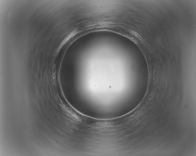 X0000053001450200507221234