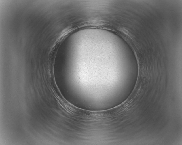 X0000053001451200507221234