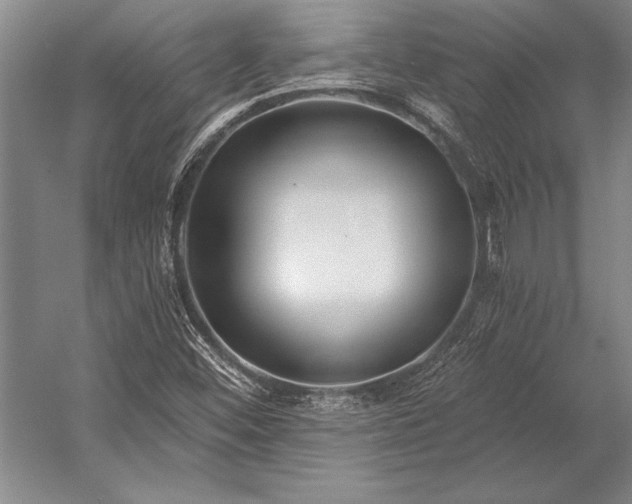 X0000053001452200507221234