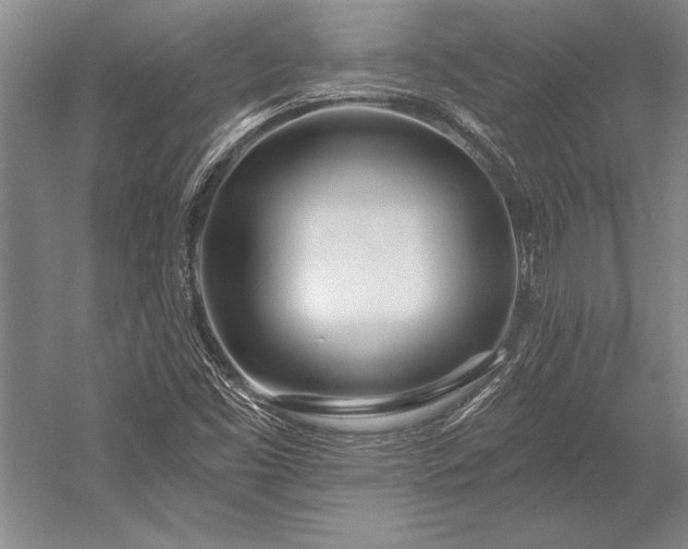 X0000053001453200507221234