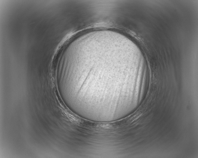 X0000053001454200507221234