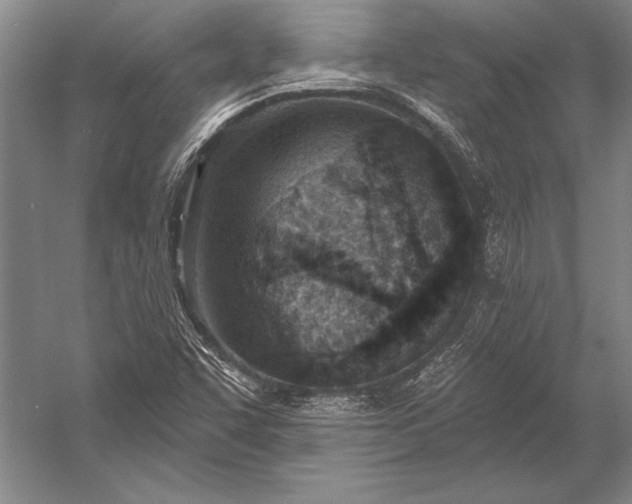 X0000053001455200507221234