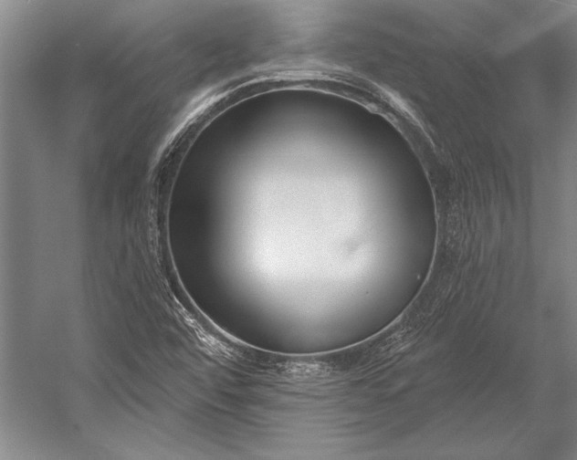 X0000053001456200507221234