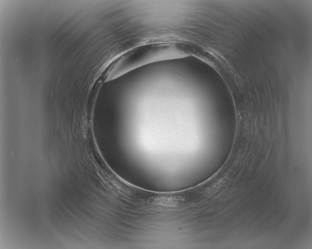 X0000053001457200507221234