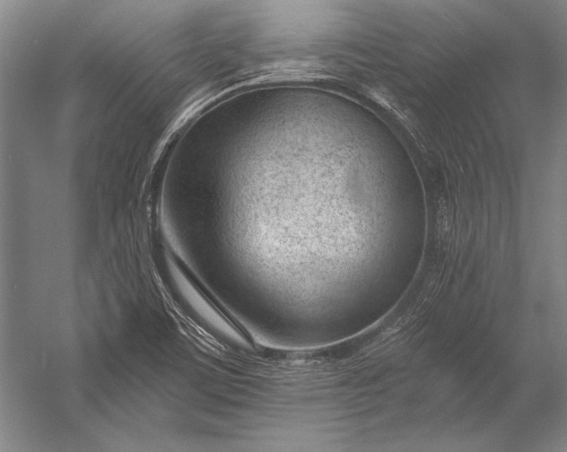 X0000053001459200507221234