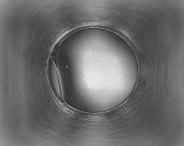 X0000053001460200507221234