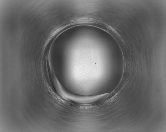 X0000053001461200507221234