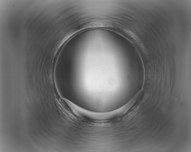 X0000053001465200507221234