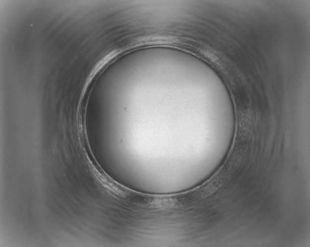 X0000053001466200507221234