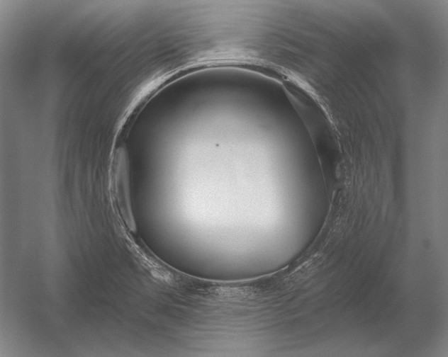 X0000053001469200507221234