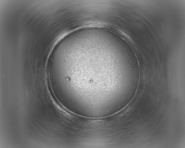 X0000053001471200507221234