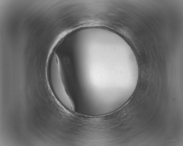 X0000053001472200507221234