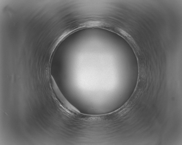 X0000053001473200507221234