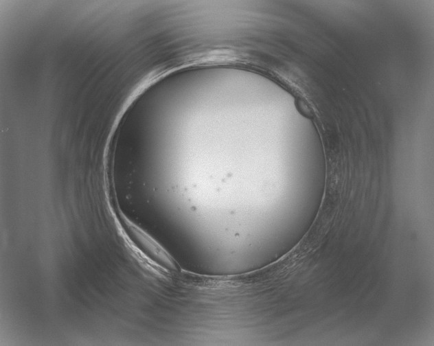 X0000053001475200507221234