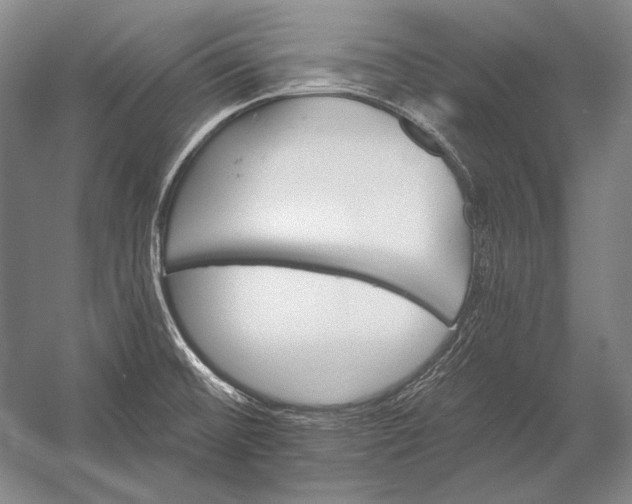 X0000053001476200507221234