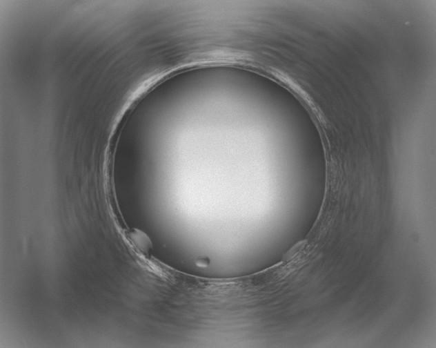 X0000053001477200507221234