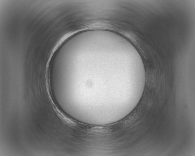 X0000053001478200507221234