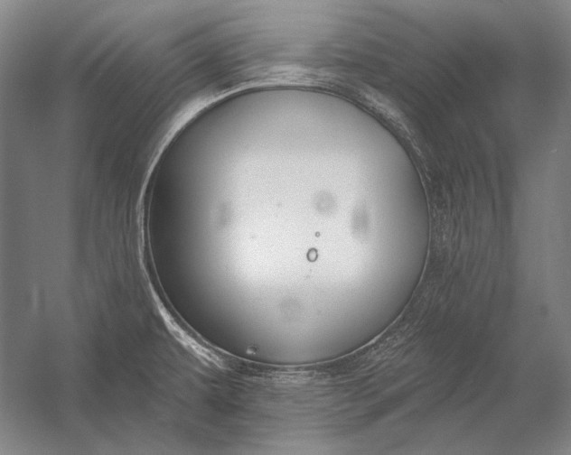 X0000053001479200507221234