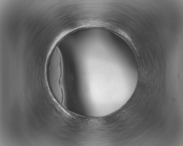 X0000053001480200507221234