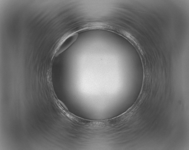 X0000053001481200507221234