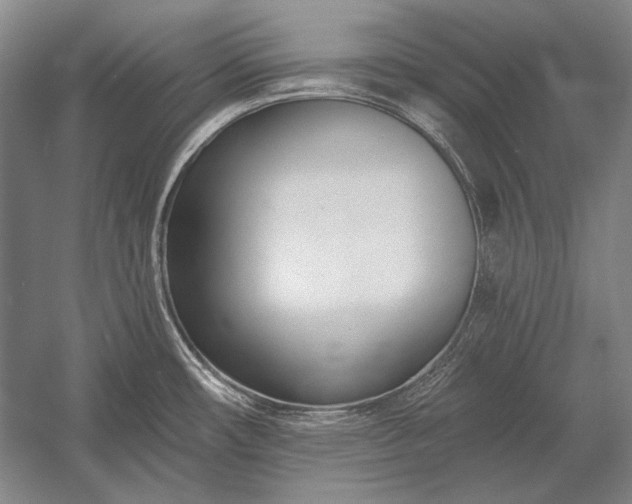 X0000053001482200507221234