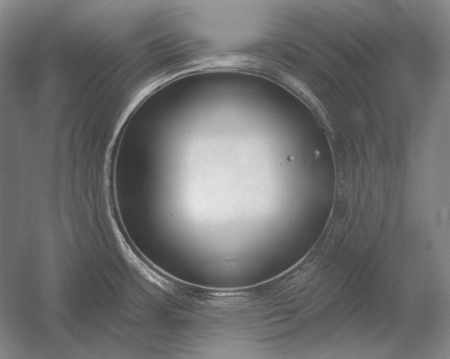 X0000053001483200507221234