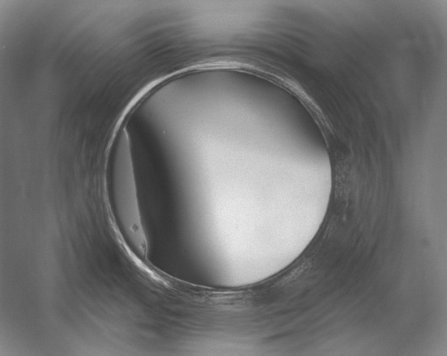 X0000053001484200507221234