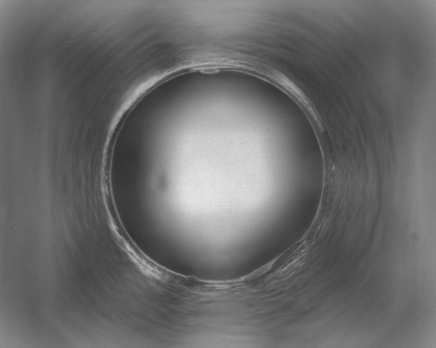 X0000053001485200507221234