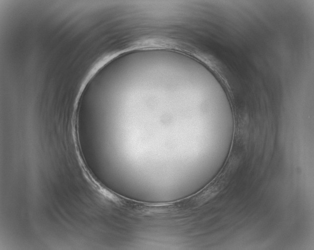 X0000053001486200507221234