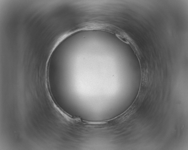 X0000053001487200507221234