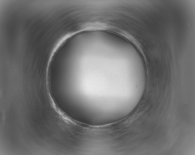 X0000053001488200507221234