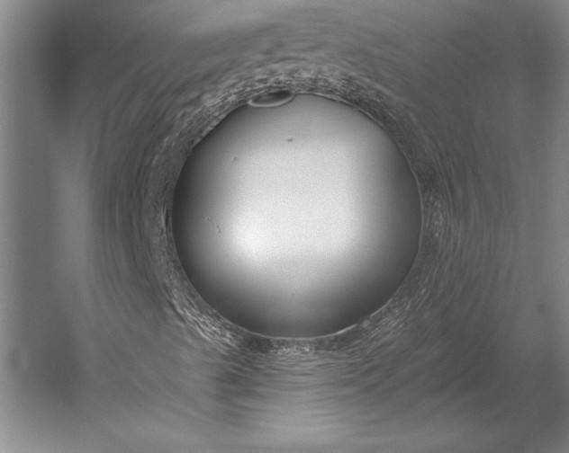 X0000053001489200507221233