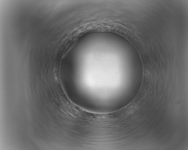 X0000053001490200507221233