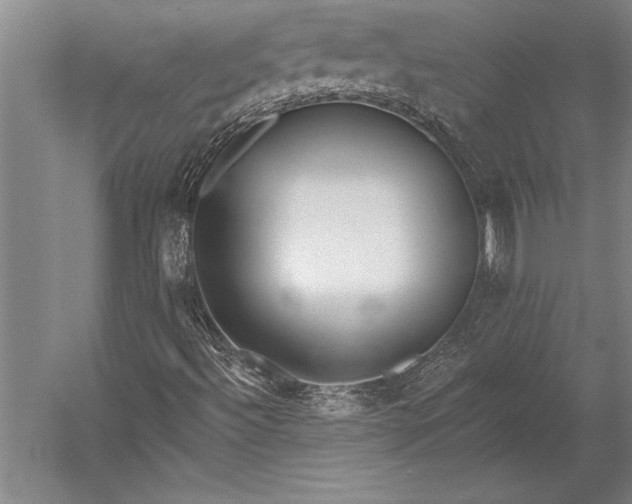 X0000053001492200507221233