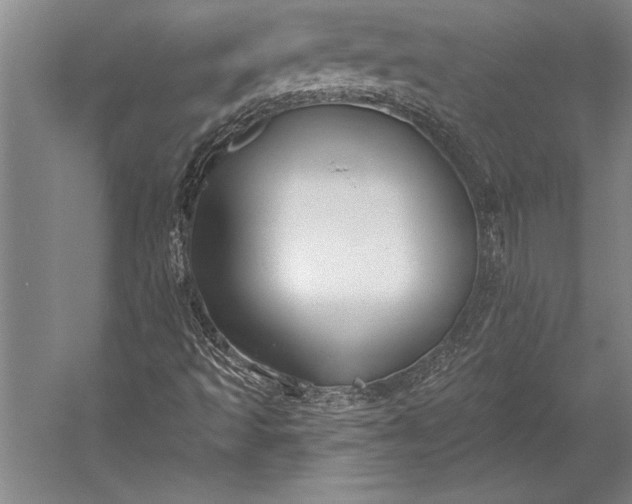 X0000053001493200507221233