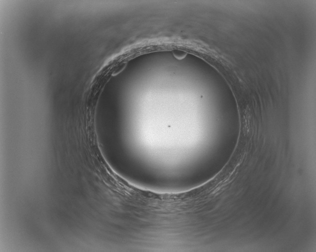 X0000053001494200507221233