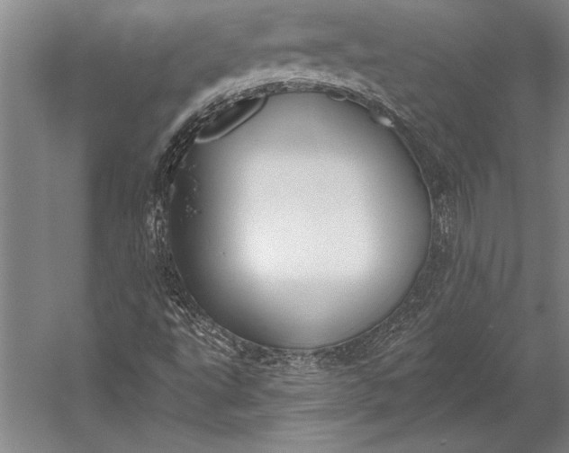 X0000053001495200507221233