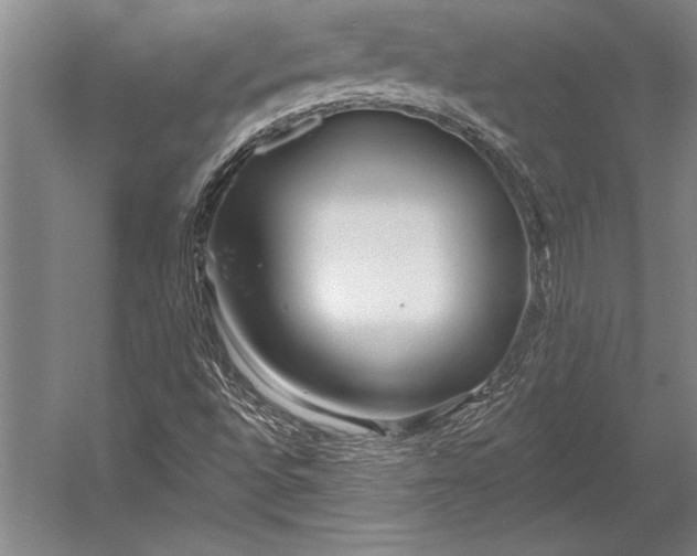 X0000053001496200507221233