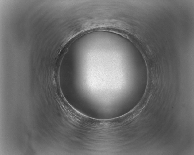 X0000053001497200507221233