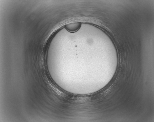 X0000053001498200507221233