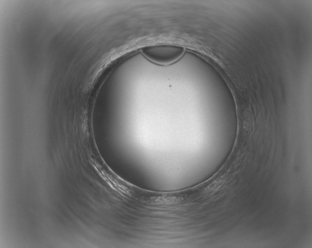 X0000053001499200507221233