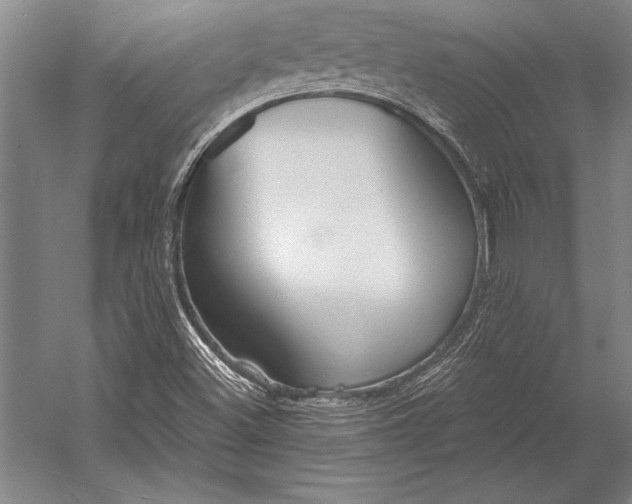 X0000053001500200507221233