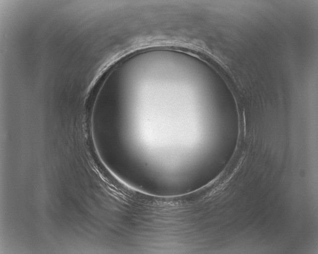 X0000053001501200507221233