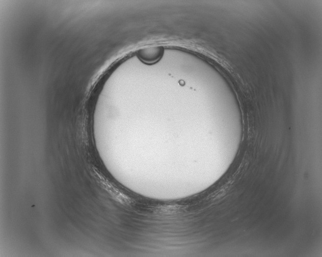 X0000053001502200507221233