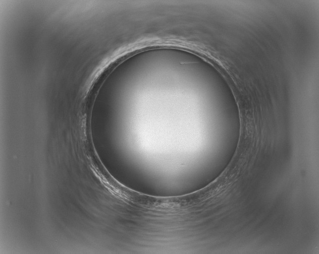 X0000053001503200507221233