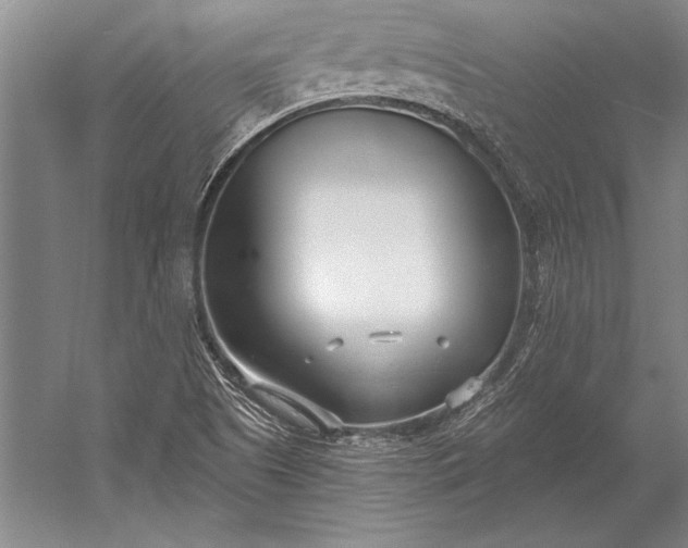 X0000053001505200507221233