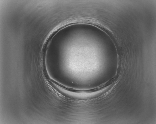 X0000053001506200507221233