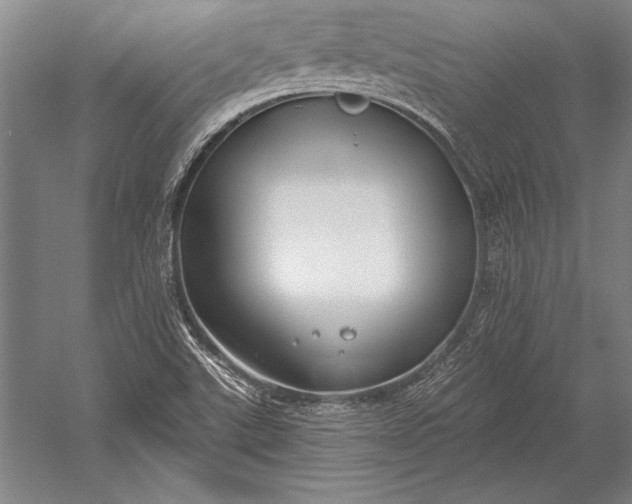 X0000053001507200507221233