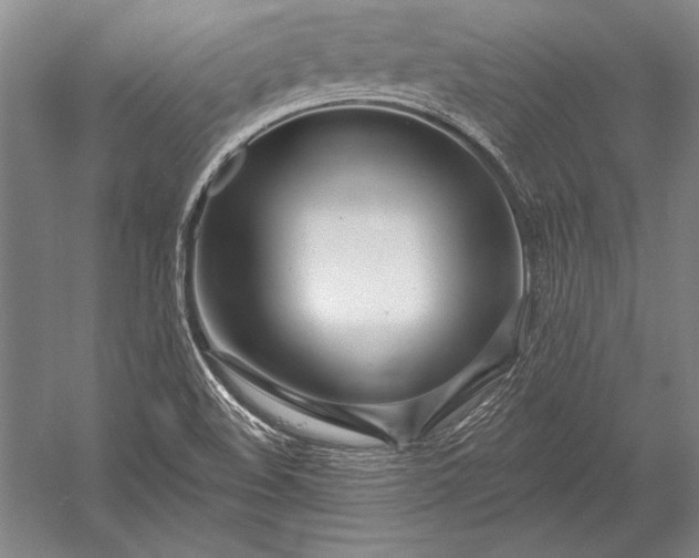 X0000053001508200507221233